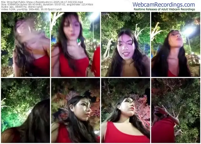 stripchat-roomexotic11-04-17-2025-00-19-32