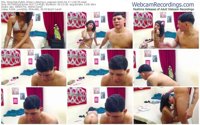 stripchat-destroys_vagina2-04-17-2025-13-47-25