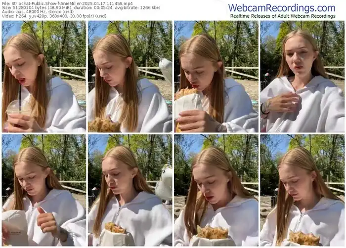 stripchat-aniemiller-04-17-2025-11-14-59