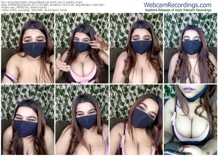 stripchat-bold-cat-04-17-2025-18-18-12