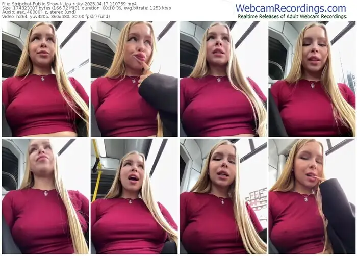 stripchat-liza_risky-04-17-2025-11-07-59