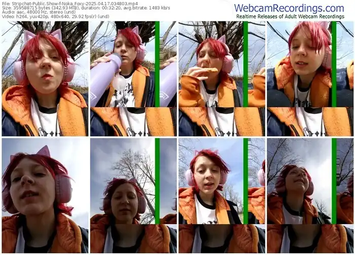 stripchat-noka_foxy-04-17-2025-03-48-03