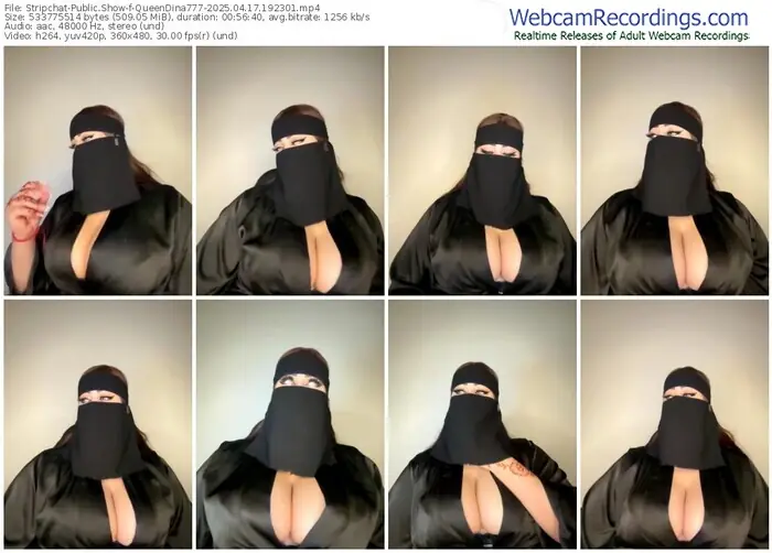 stripchat-queendina777-04-17-2025-19-23-01