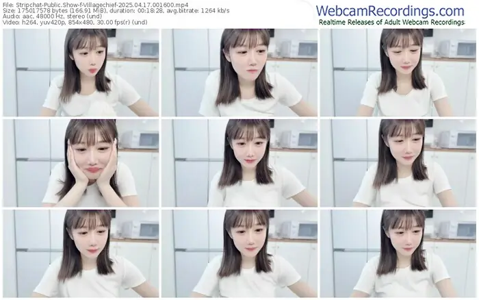 stripchat-villagechief-04-17-2025-00-16-00