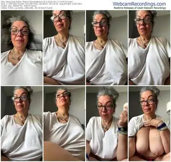 stripchat-dieseldame1313-04-17-2025-19-37-43