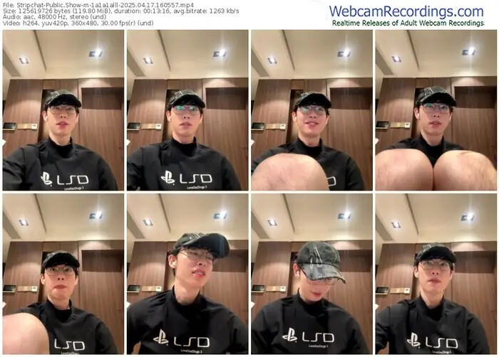stripchat-1a1a1alll-04-17-2025-16-05-57