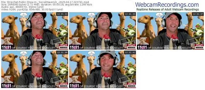 stripchat-_socialmaverick_-04-17-2025-02-37-41