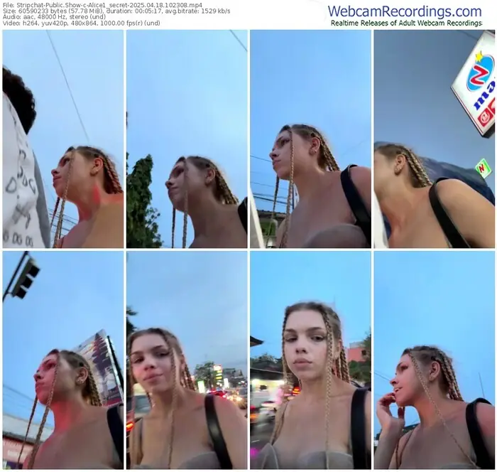 stripchat-alice1_secret-04-18-2025-10-23-08