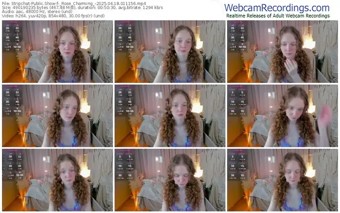 stripchat-_rose_charming_-04-18-2025-01-11-56