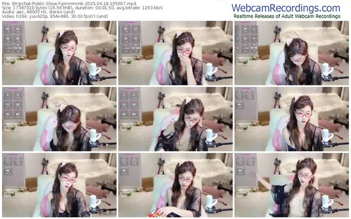 stripchat-pinnnnnnk-04-18-2025-10-56-57