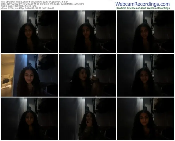 stripchat-silkygemm-04-18-2025-09-54-14