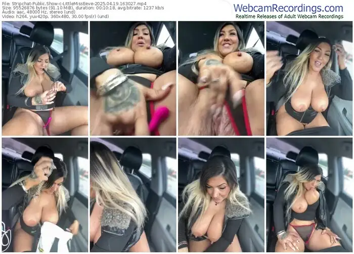 stripchat-littlemisseeve-04-19-2025-16-30-27