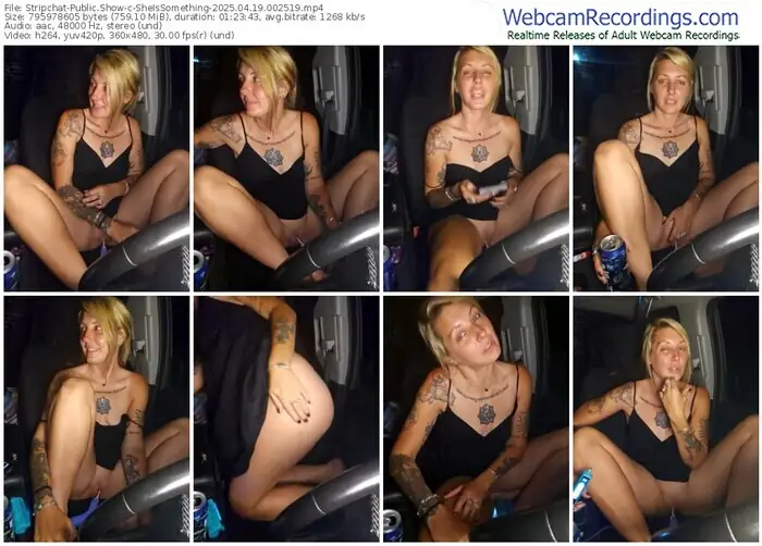 stripchat-sheissomething-04-19-2025-00-25-19