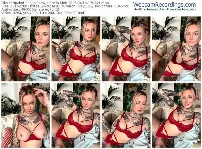 stripchat-stella-kink-04-19-2025-17-07-41
