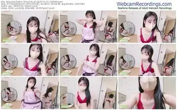 stripchat-ai_jp-04-19-2025-15-09-44