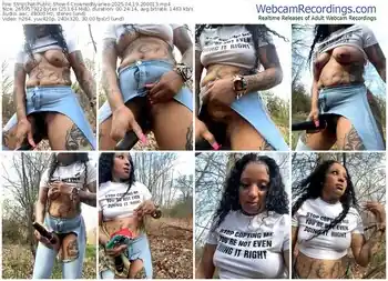 stripchat-crownednyaries-04-19-2025-20-00-13