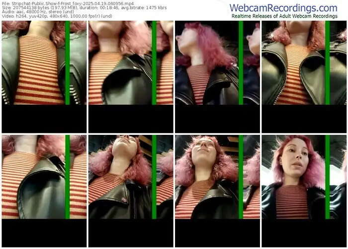 stripchat-frost_foxy-04-19-2025-06-09-56