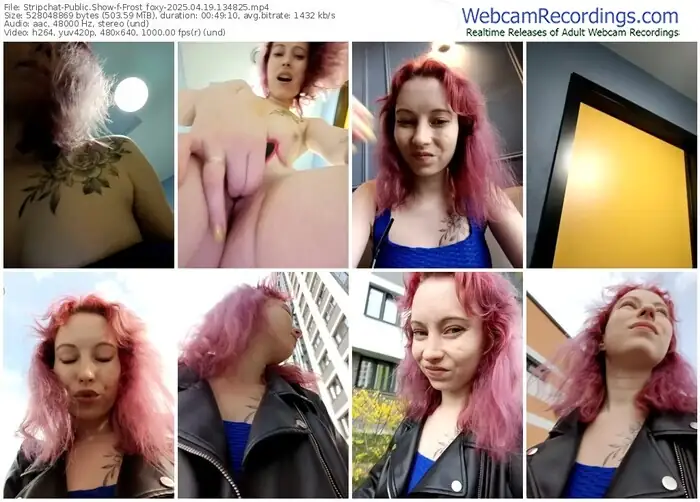 stripchat-frost_foxy-04-19-2025-13-48-25