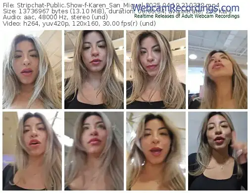 stripchat-karen_san_miguel-04-19-2025-21-03-32