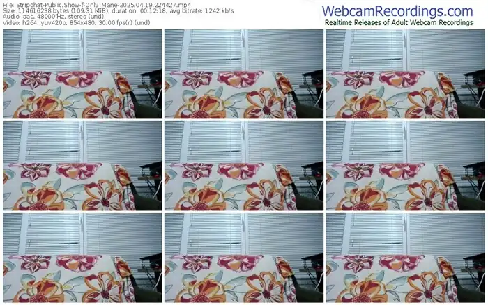 stripchat-only_mane-04-19-2025-22-44-27