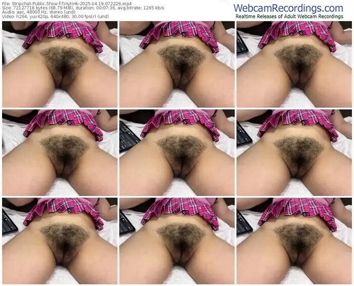 stripchat-tinytink-04-19-2025-07-22-26