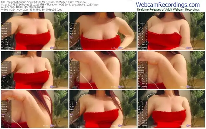 stripchat-turk_milf_nisan-04-19-2025-03-13-22