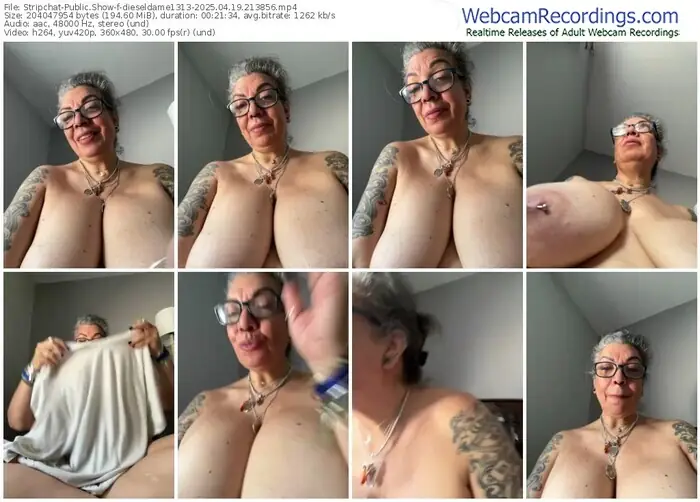 stripchat-dieseldame1313-04-19-2025-21-38-56