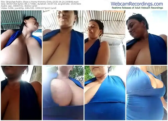 stripchat-horny-mommy-dirty-04-20-2025-20-08-46