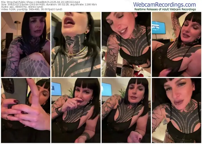stripchat-inkedbiitch-04-20-2025-18-53-22