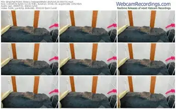 stripchat-leslieanddrako-04-20-2025-00-07-31