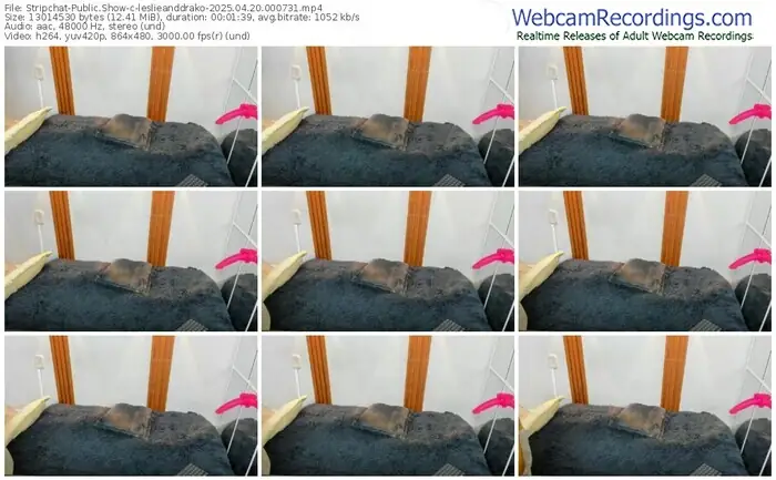 stripchat-leslieanddrako-04-20-2025-00-07-31