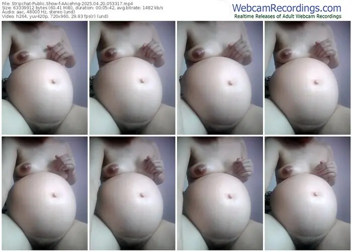 stripchat-aacehng-04-20-2025-05-33-17