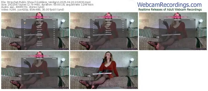 stripchat-goddess_verdgyvi-04-20-2025-10-26-30