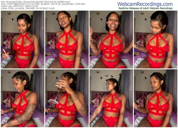 stripchat-inklady444-04-20-2025-18-38-06