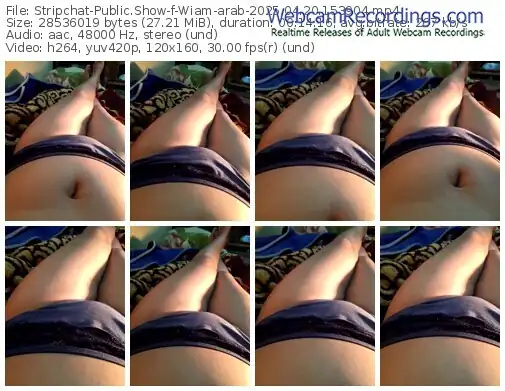 stripchat-wiam-arab-04-20-2025-15-39-04