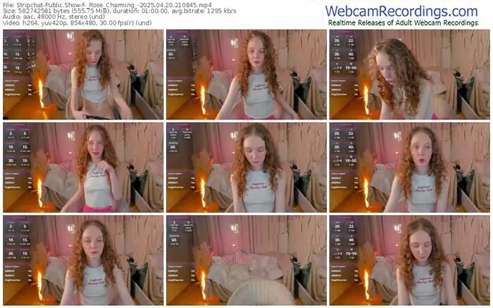 stripchat-_rose_charming_-04-20-2025-21-08-45