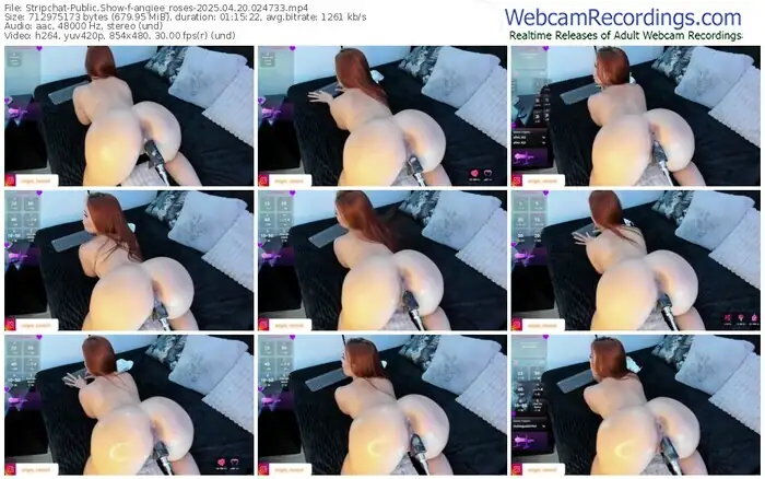 stripchat-angiee_roses-04-20-2025-02-47-33