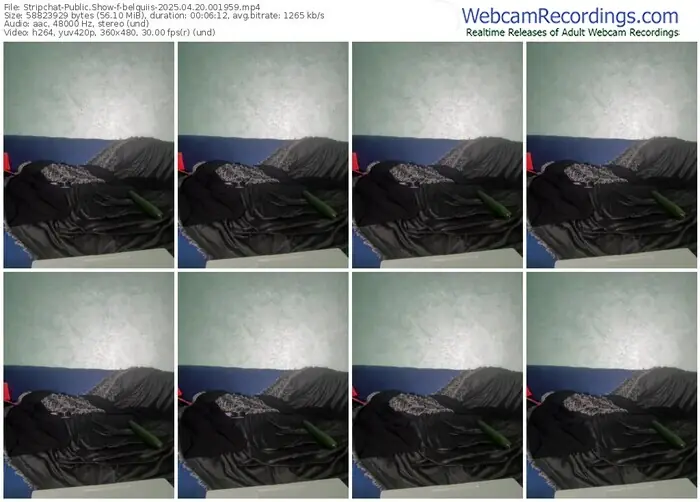stripchat-belquiis-04-20-2025-00-19-59