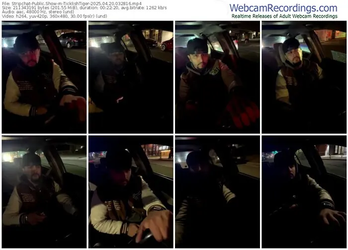 stripchat-ticklishtiger-04-20-2025-03-28-16