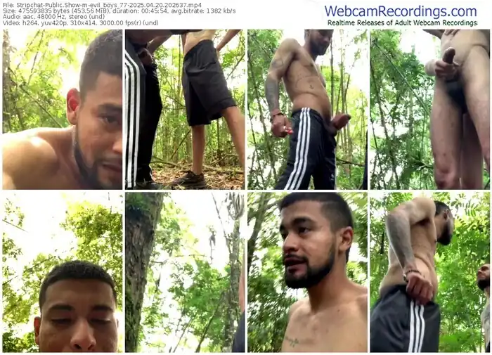 stripchat-evil_boys_77-04-20-2025-20-26-37