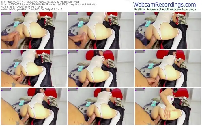 stripchat-6_bunny_9-04-21-2025-01-37-03