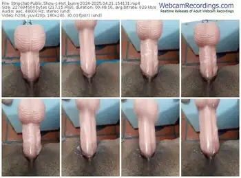 stripchat-hot_bunny2024-04-21-2025-15-41-31