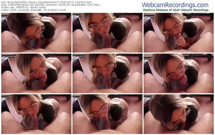 stripchat-boomboomhoot-04-21-2025-16-24-53