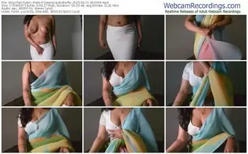 stripchat-gleaming-butterfly-04-21-2025-06-43-34