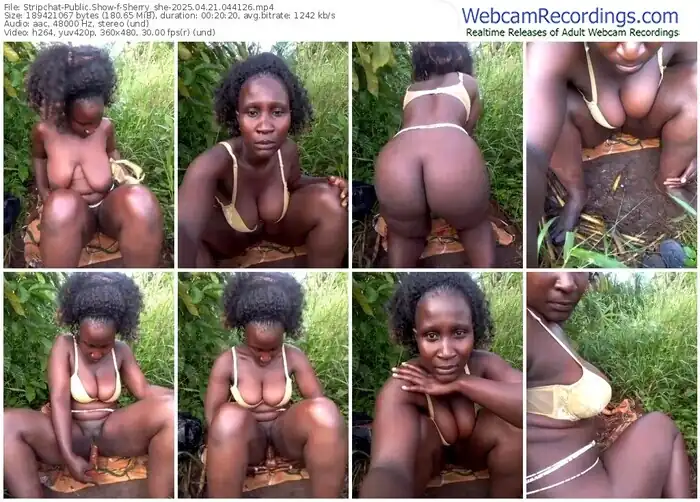 stripchat-sherry_she-04-21-2025-04-41-26