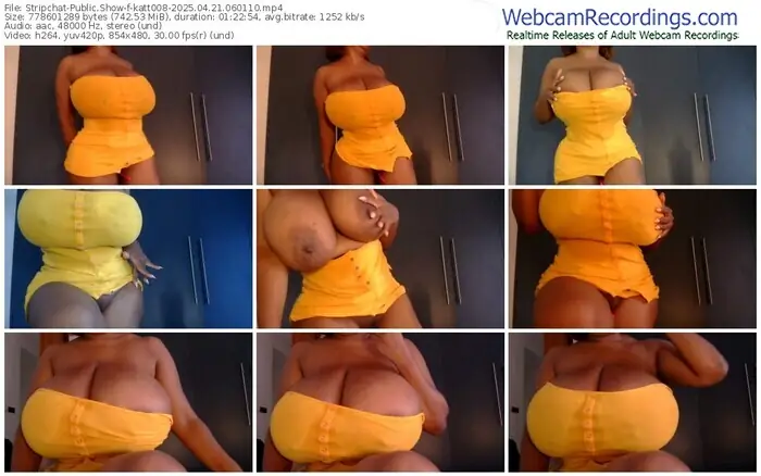 stripchat-katt008-04-21-2025-06-01-10