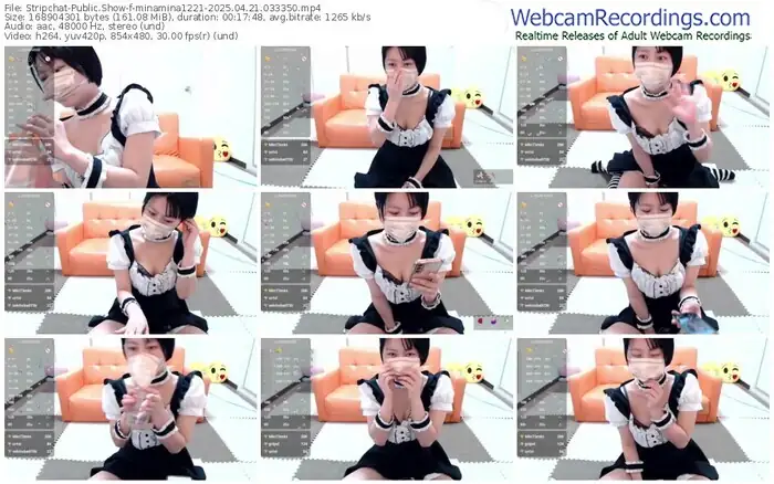 stripchat-minamina1221-04-21-2025-03-33-50