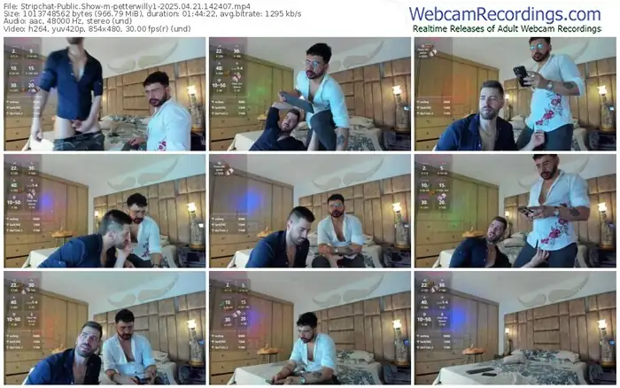 stripchat-petterwilly1-04-21-2025-14-24-07