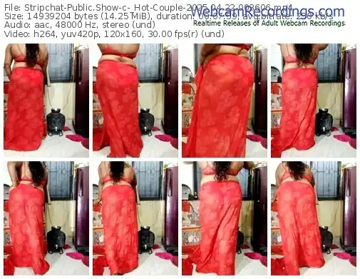 stripchat-_hot-couple-04-22-2025-00-36-06