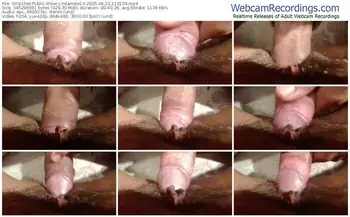 stripchat-lolamike19-04-22-2025-11-01-08